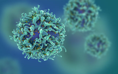 Computer-generated rendering of T cells