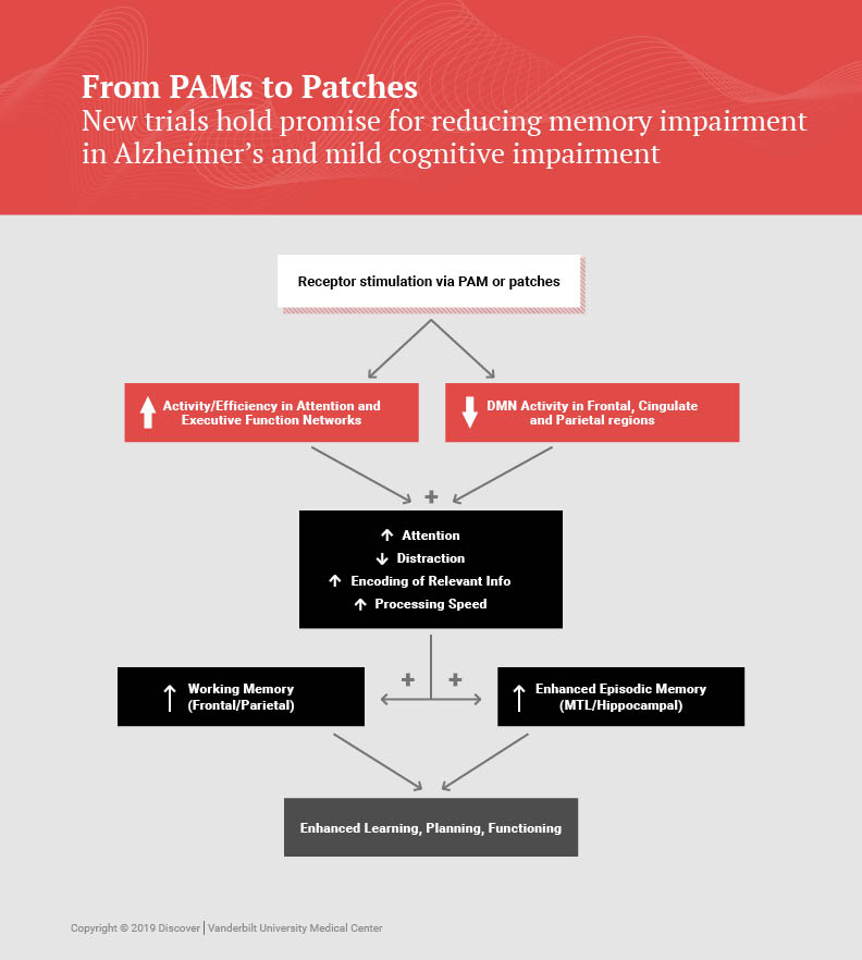 From PAMs to Patches: Novel and Familiar Agents to Reduce Memory Impairment