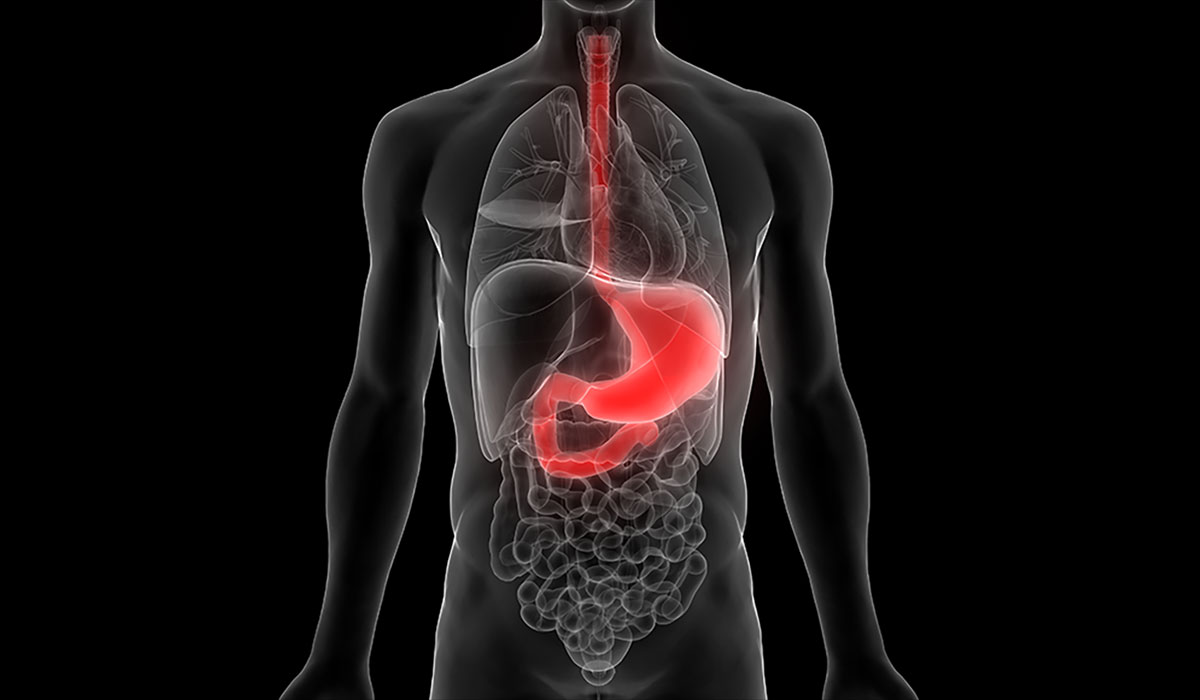 New Research on Sustained Weight Loss Vanderbilt Discover