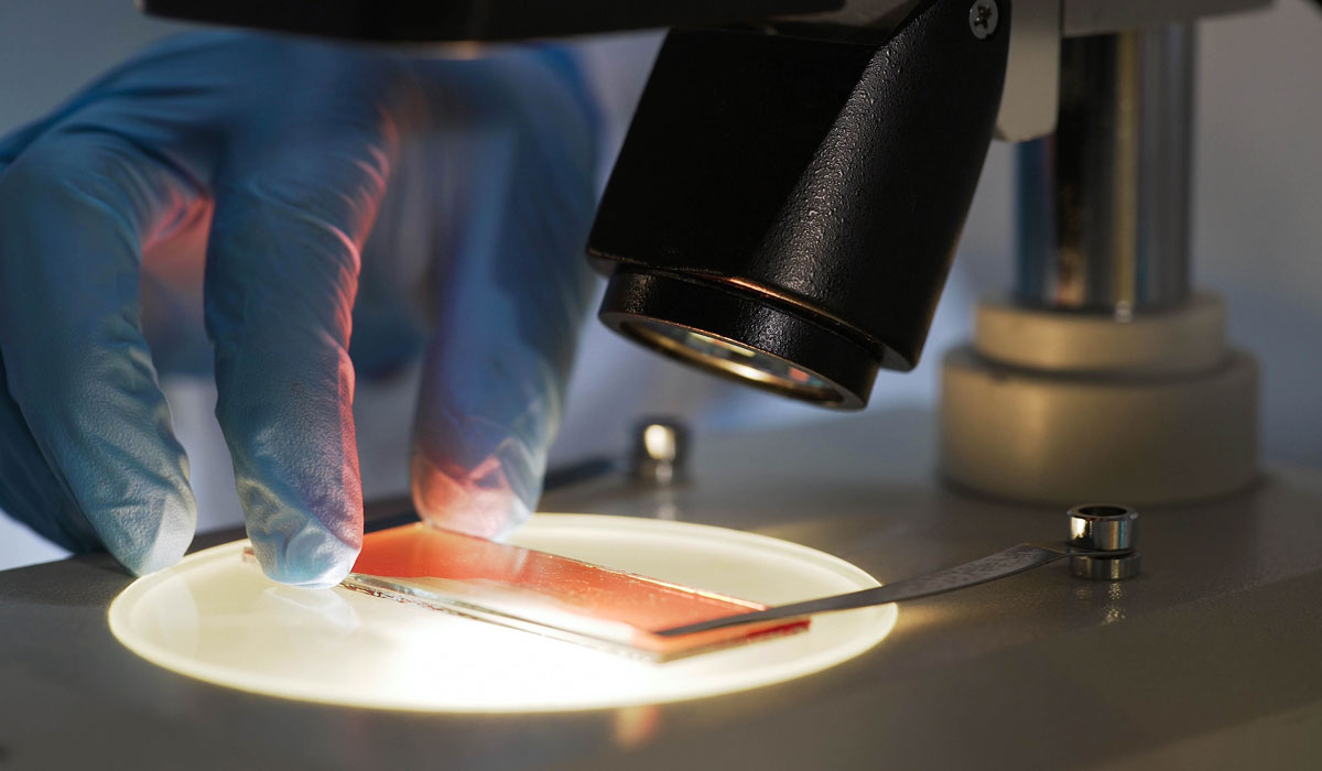 Discoveries in Medicine - Assessing Liquid Biopsies for Precision ...
