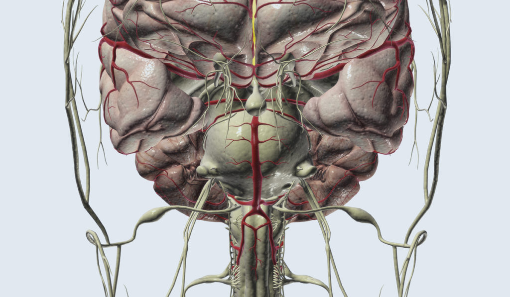 Trigeminal nerve at base of brain causing TN.