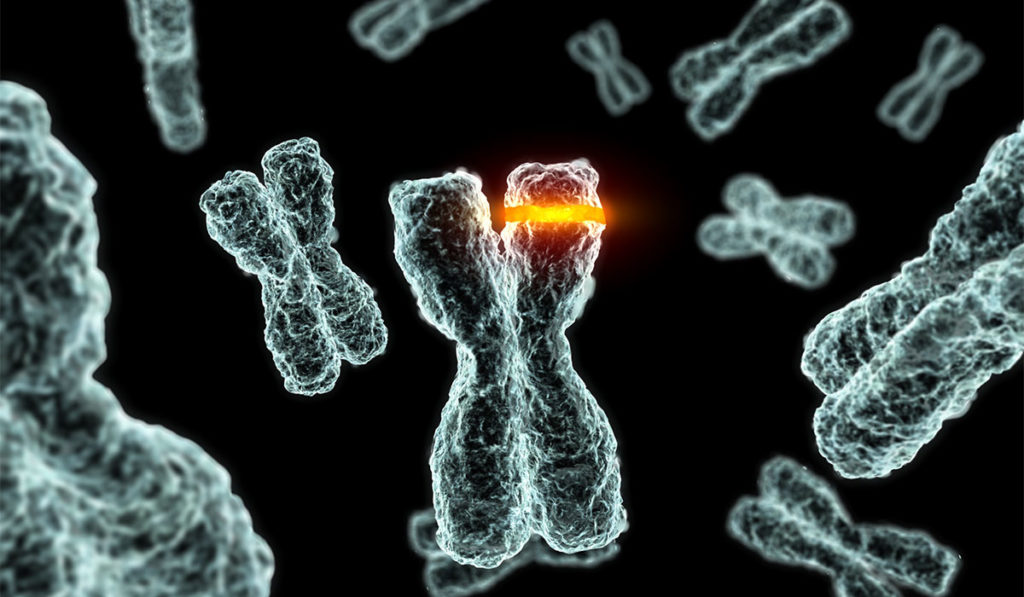 Chromosome 8 mutation.