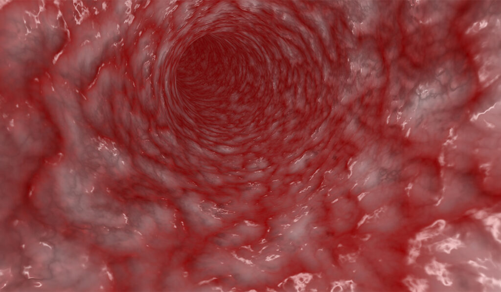 The inside of a blood vessel