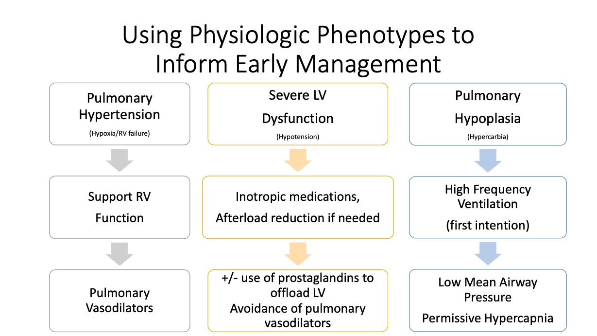 Improved Outlook for CDH in Newborns