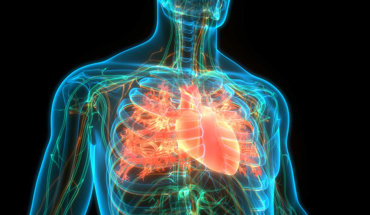 Discoveries in Medicine Directacting Anticoagulants in HeadtoHead