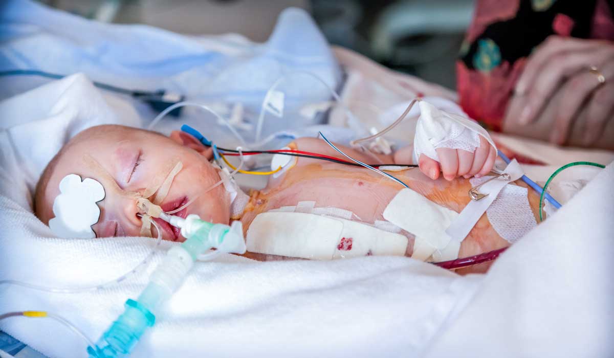 Discoveries In Medicine Pediatric And Adult Heart Transplants Surpass