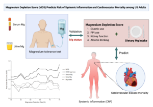 Magnesium Depletion Score outperformed other strategies in predicting health risks.