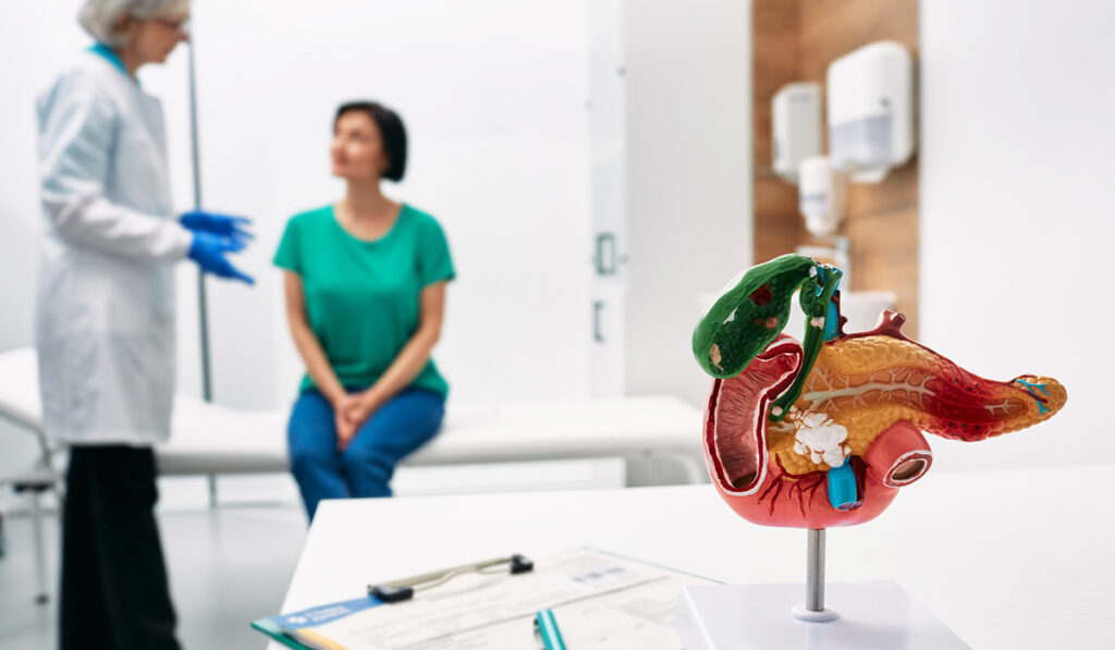 Woman talking to physician with pancreas model in foreground