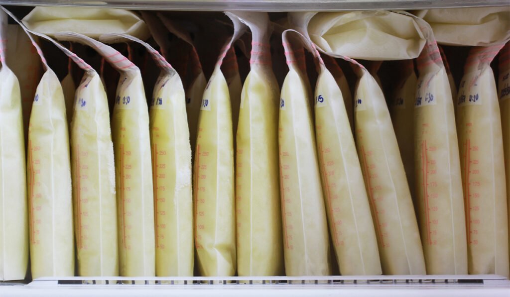 Bagged breast milk in a freezer