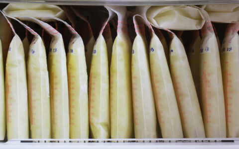 Bagged breast milk in a freezer